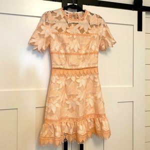 NWOT, XS, Pale Pink and White SAYLOR Dress